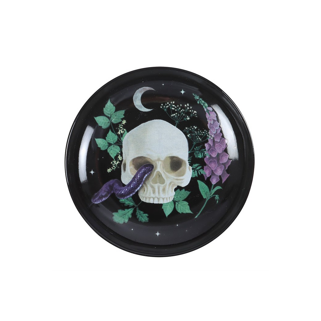 Venom & Vines Skull Trinket Dish - product image 3