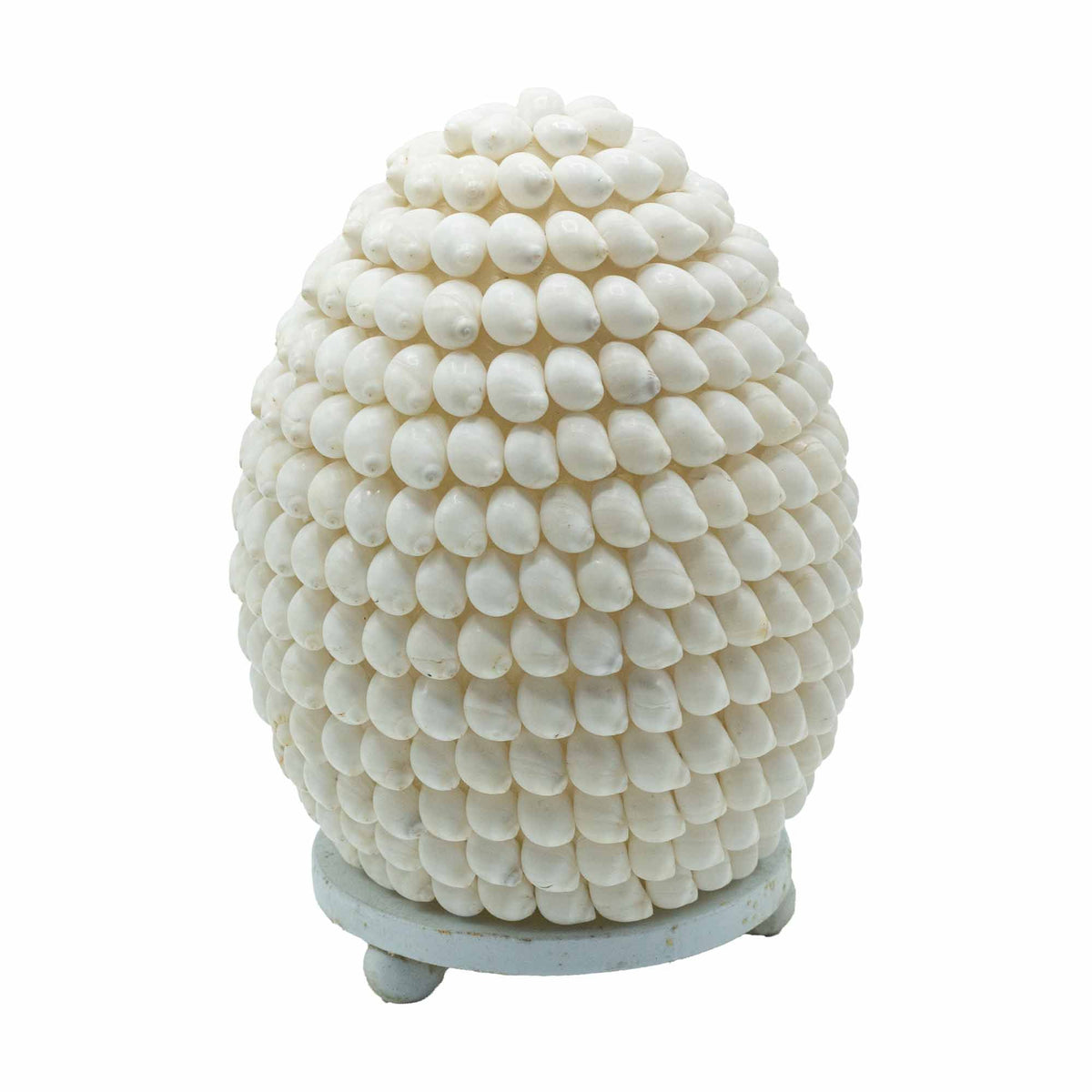 Boho Sea Shell Lamp - Buting Shell Oval - 15cm – product view 4