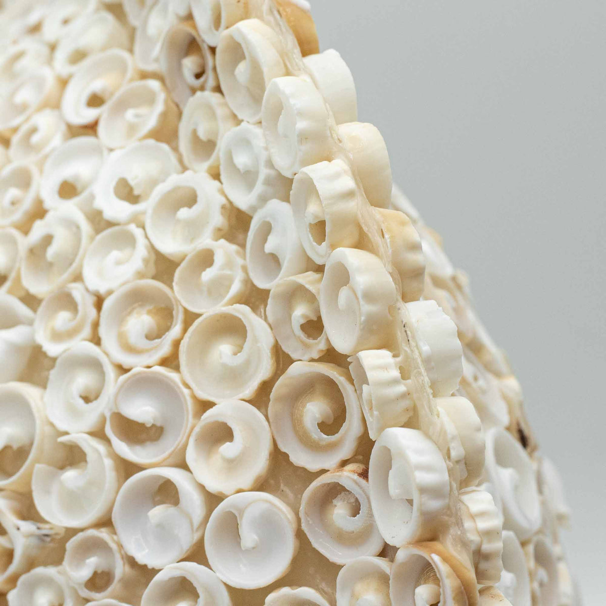Boho Sea Shell Lamp - Cut Art Shell Large Round - 30cm – product view 3