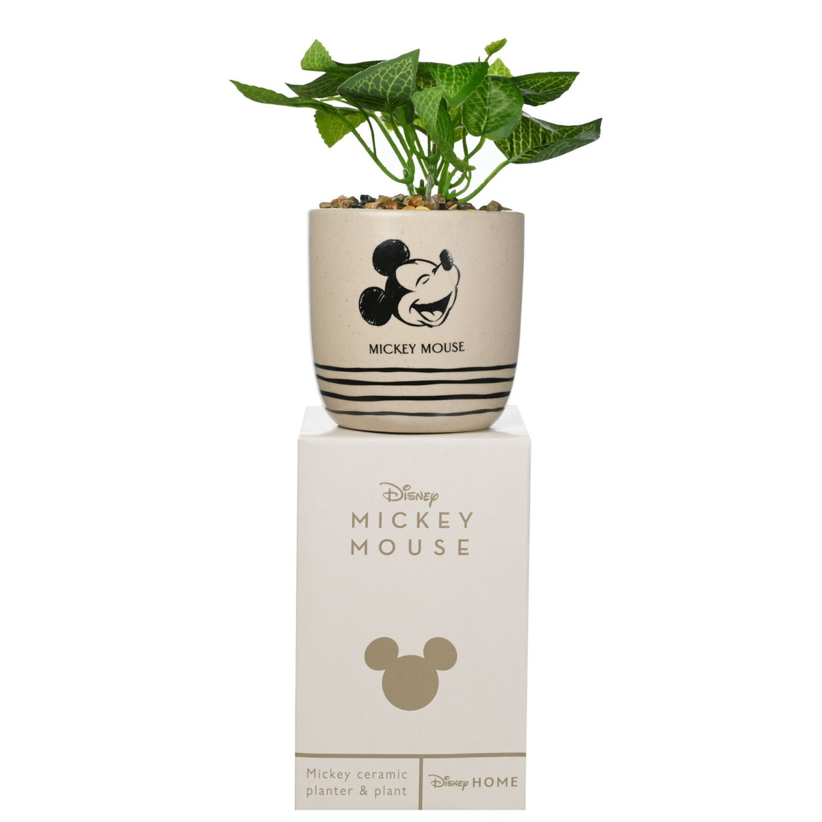 Disney Mickey Planter – product view 2