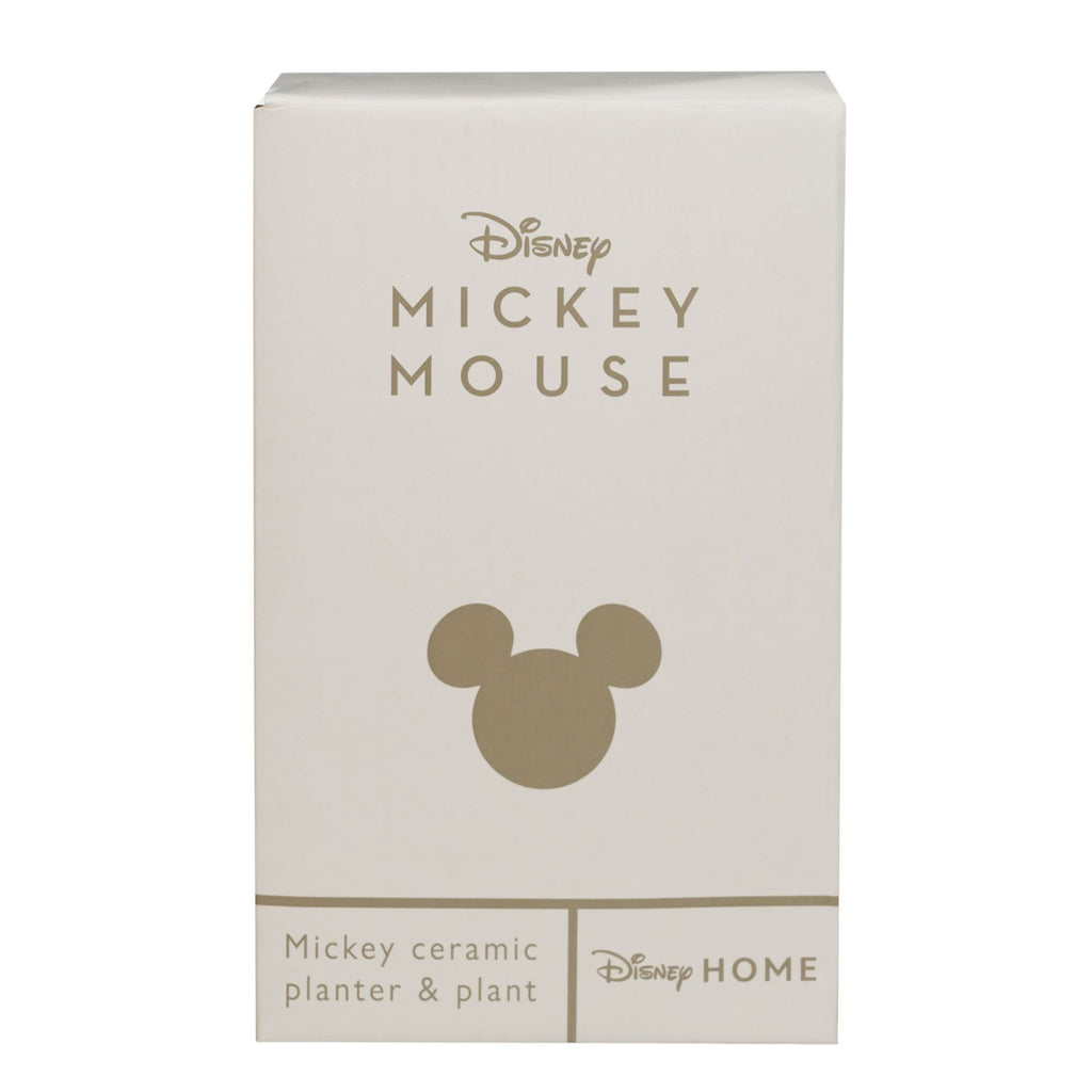 Disney Mickey Planter – product view 4