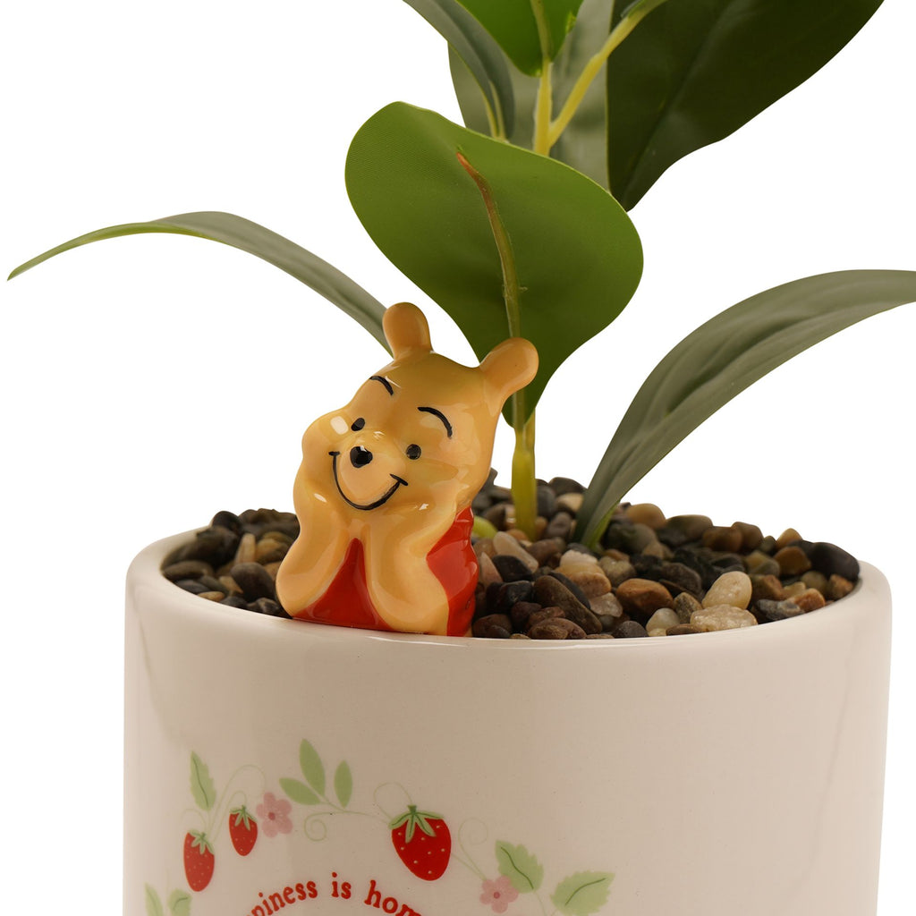 Disney Winnie Planter with 3D Winnie – product view 3