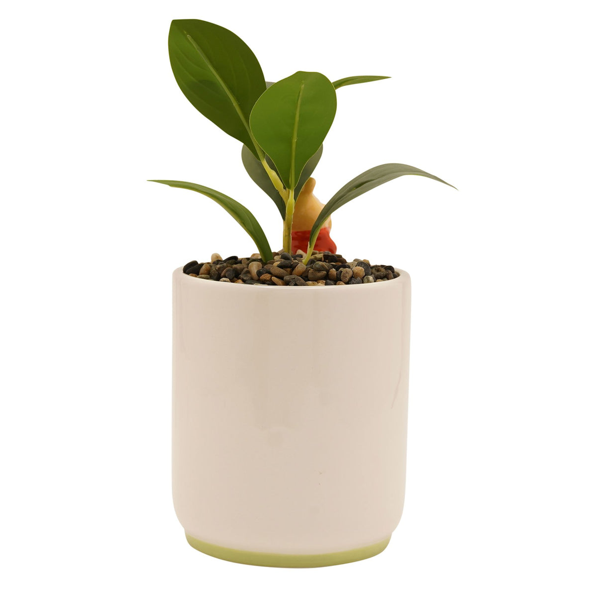 Disney Winnie Planter with 3D Winnie – product view 4