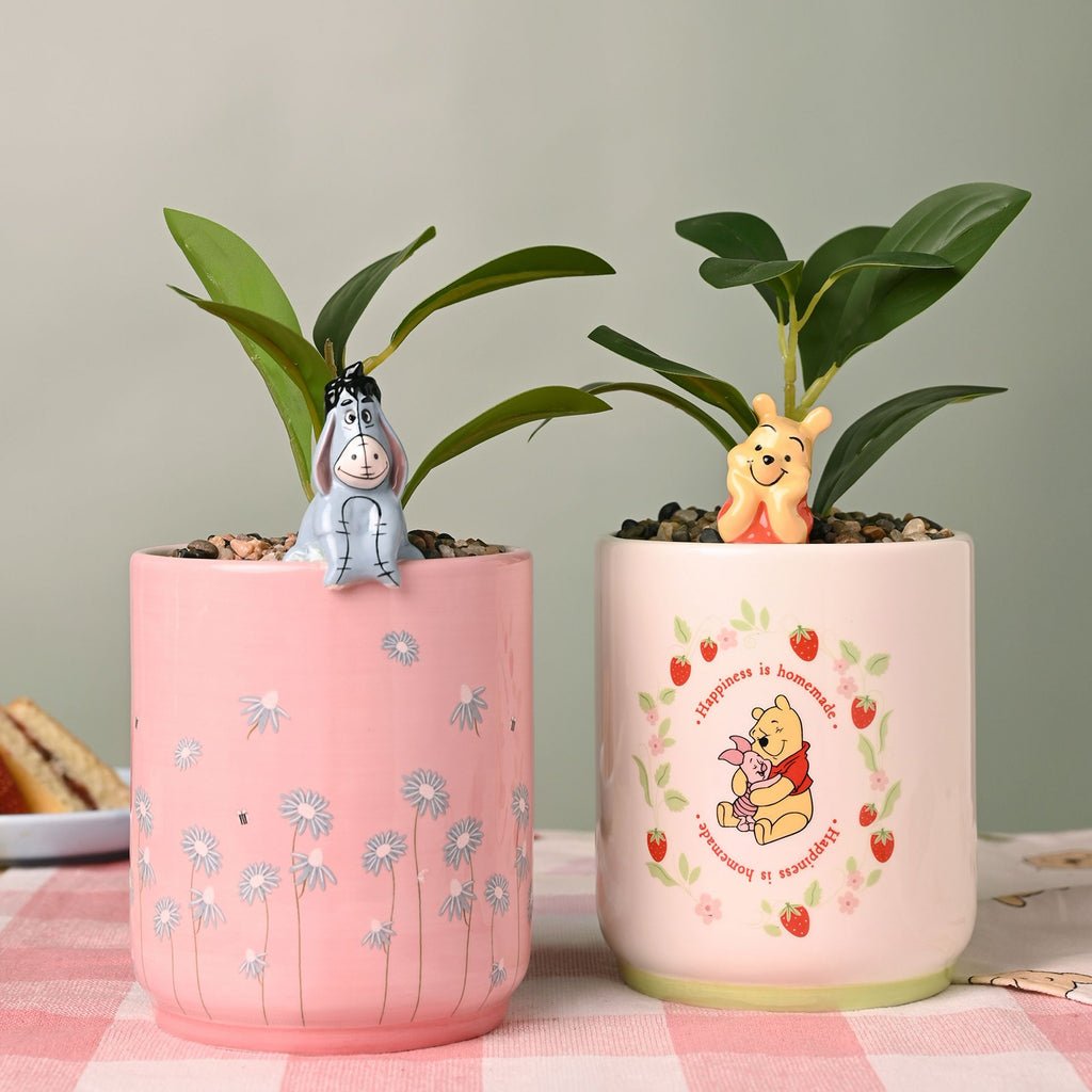 Disney Winnie Planter with 3D Eeyore