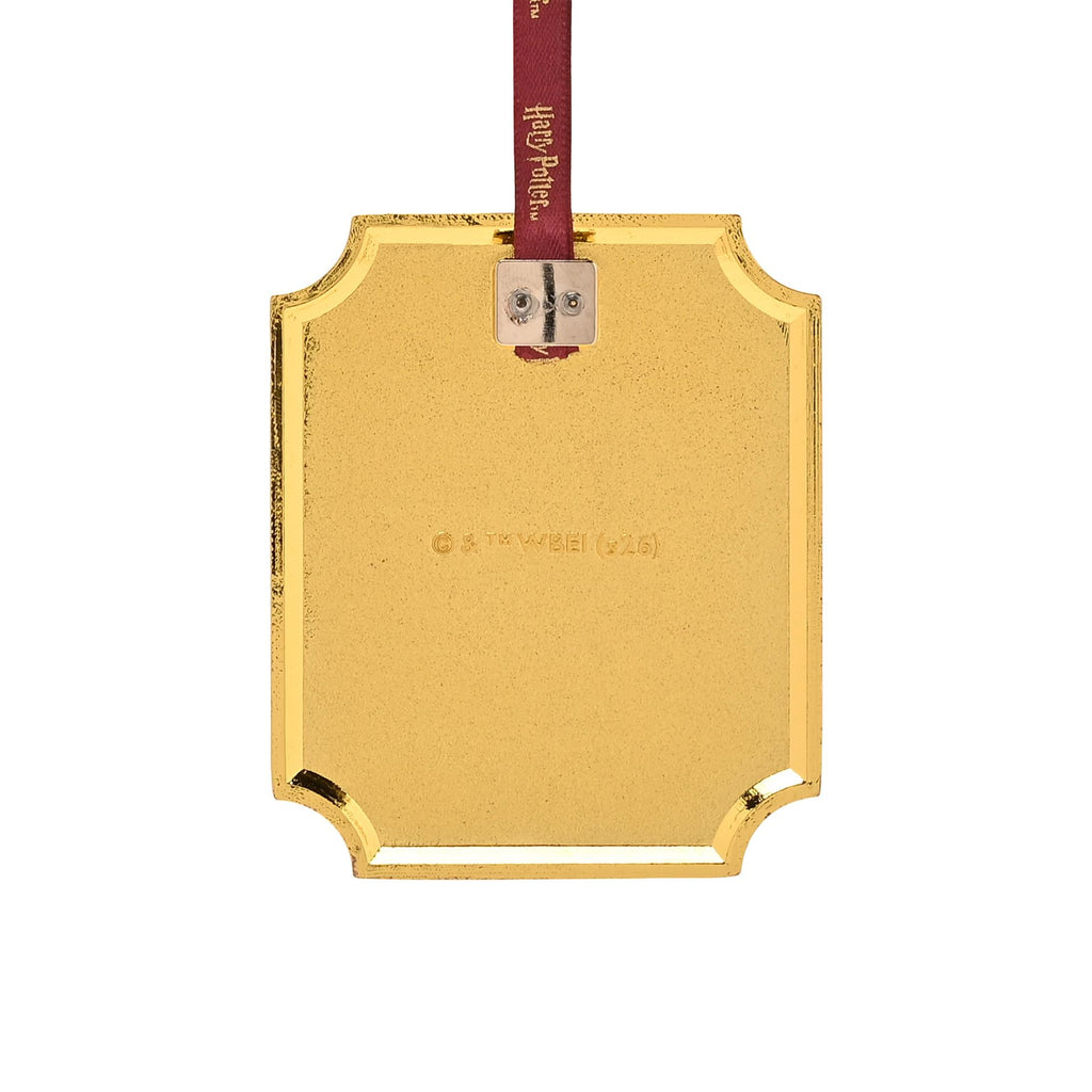 Harry Potter Alumni Metal Epoxy Hanging Dec - Leaky Cauldron