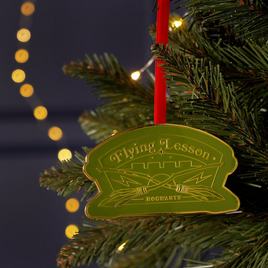 Harry Potter Alumni Metal Epoxy Hanging Dec - Flying Lessons