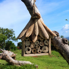 Driftwood Bee & Insect Box product image 3