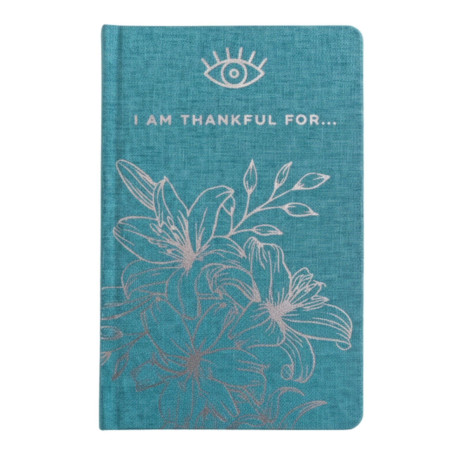 Blue Gratitude Journal with Silver Lining - 120 pages - I am Thankful For product image