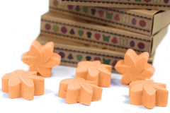 Box of 6 Wax Melts - Mango Fruits product image 5