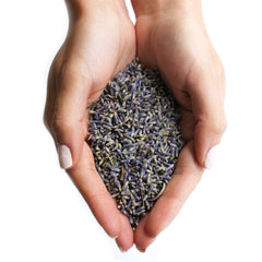Lavender Flowers (1KG) Botanicals & Floral Waters product image 4