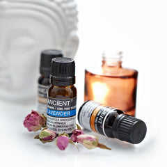 10 ml Eucalyptus Essential Oil product image 3