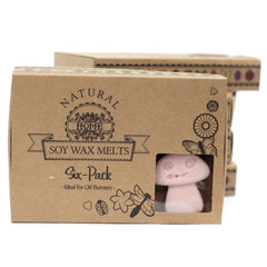 Box of 6 Wax Melts - Old Ginger product image 3