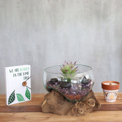 Molten Glass on Wood - Open Lrg Bowl product image 7