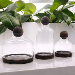 Medium Ball Top Terrarium on Dark Tung Wood product image 3