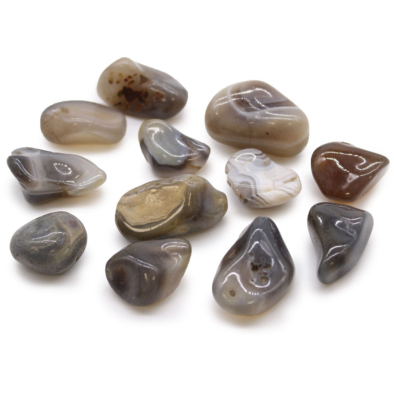Medium African Tumble Stones - Grey Agate - Botswana product image