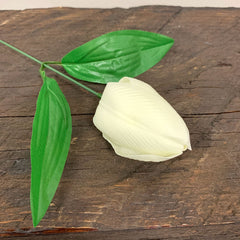 Craft Soap Flower - Med Tulip - Ivory product image