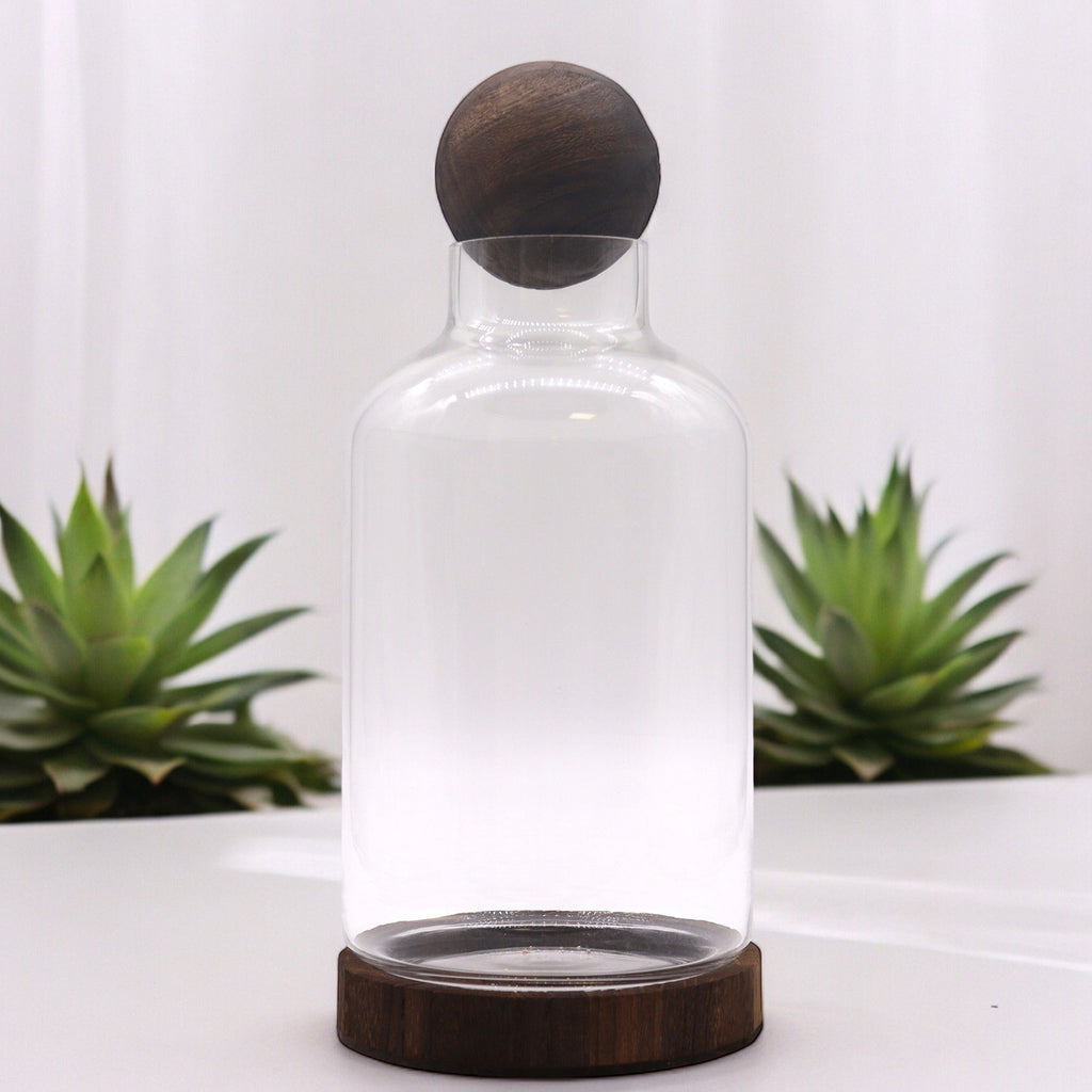 Large Ball Top Terrarium on Dark Tung Wood product image 4