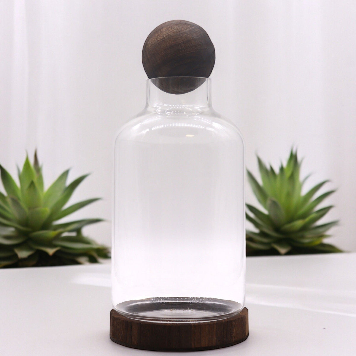 Large Ball Top Terrarium on Dark Tung Wood product image 4