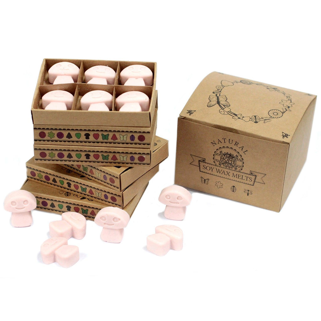 Box of 6 Wax Melts - Dark Sandalwood product image 6