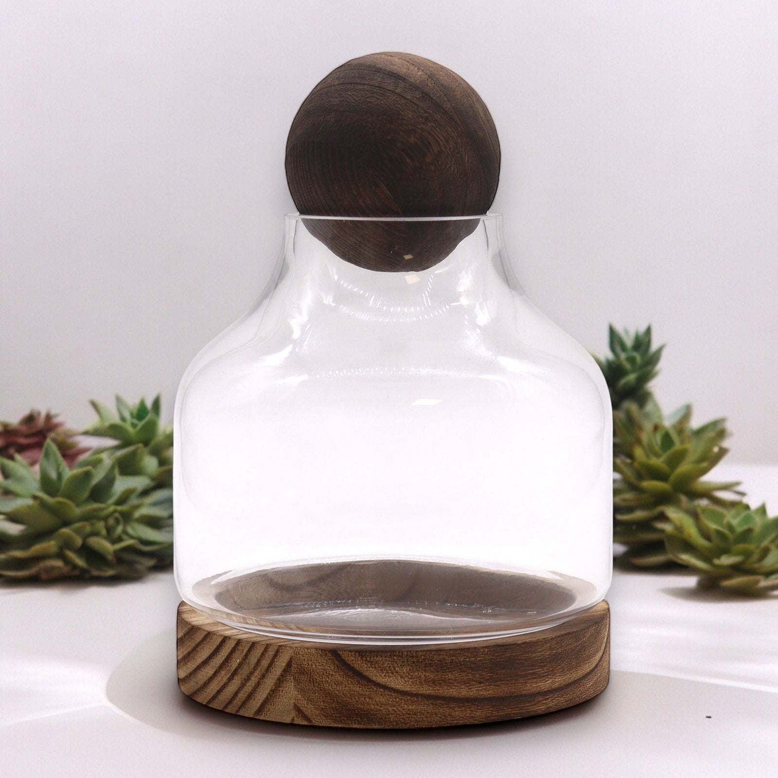 Medium Ball Top Terrarium on Dark Tung Wood product image