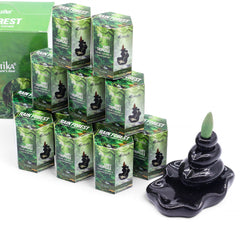 Pack of 10 Masala Backflow Incense - Rain Forest product image