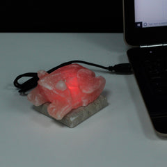 USB Toad Shaped (Multi) product image 3