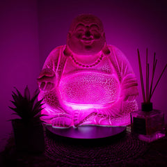 Laughing Buddha Lamp Dragonfruit - Round Stand product image 2