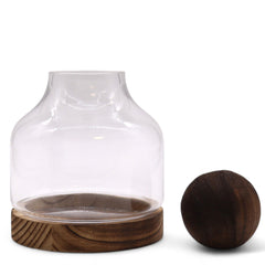 Medium Ball Top Terrarium on Dark Tung Wood product image 4