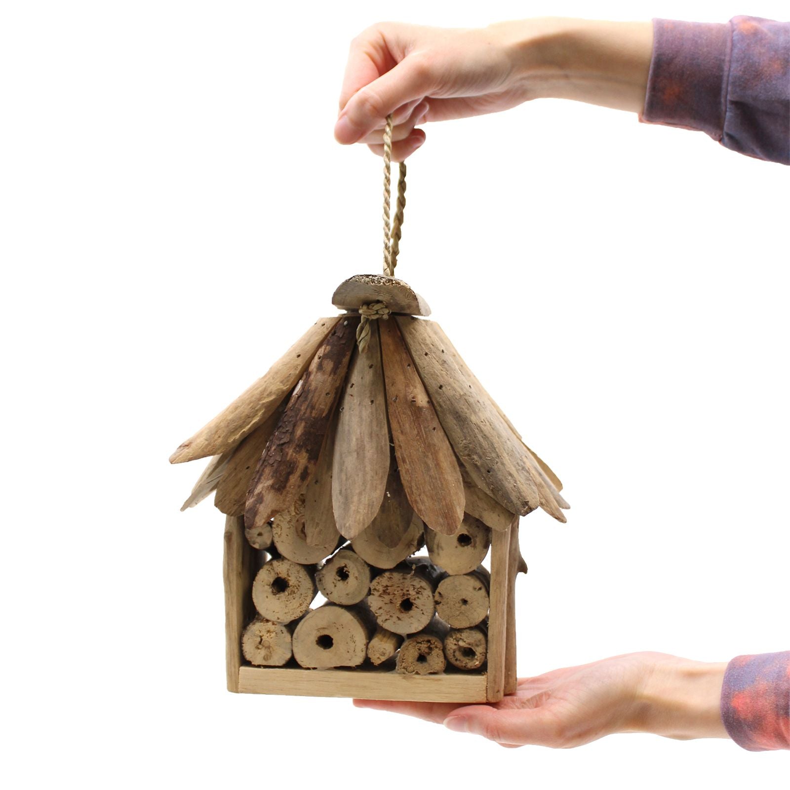 Driftwood Bee & Insect Box product image