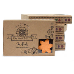 Box of 6 Wax Melts - Mango Fruits product image 2