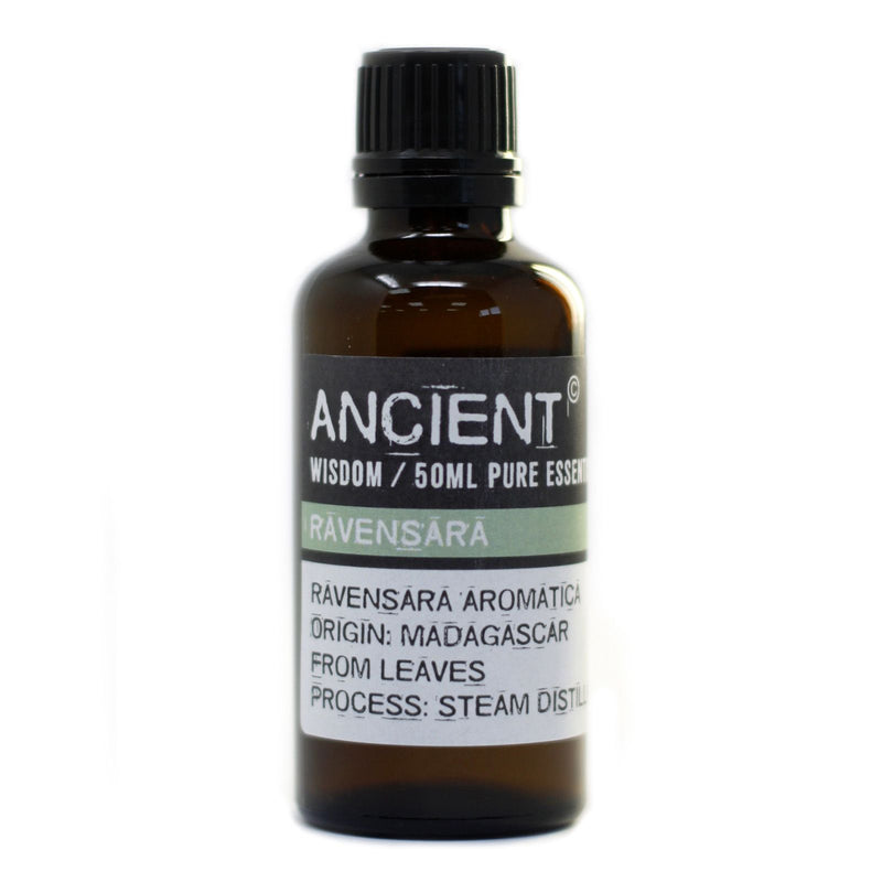 Ravensara 50ml Essential Oils product image