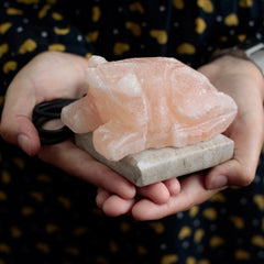 USB Toad Shaped (Multi) product image 2