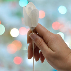 Natural Diffuser Flowers - Tulip on Reed product image 6