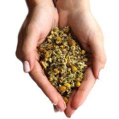 Chamomile Heads (1kg) Botanicals & Floral Waters product image 4
