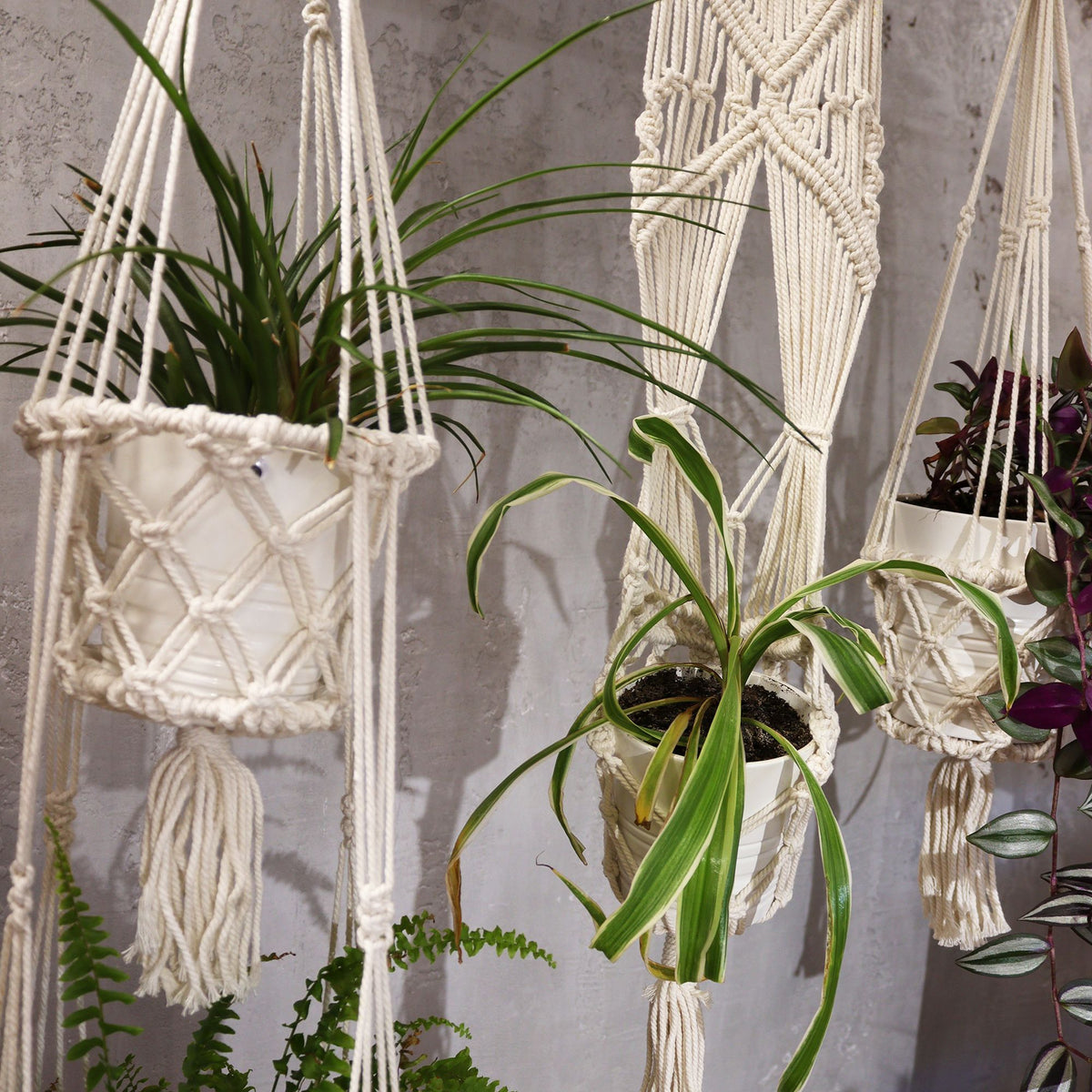 Macrame Pot Holder - Long With Ratten Hoop product image 6