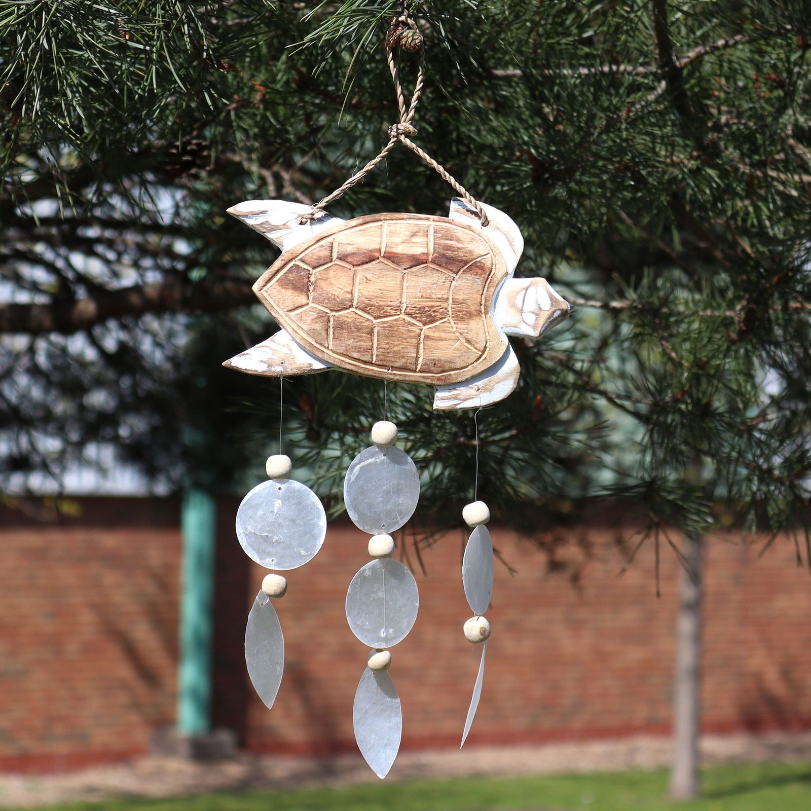 Whitewash Turtle Carving and Natural Copis Drop product image