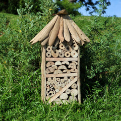 Driftwood Bee & Insect Highrise Box product image 5