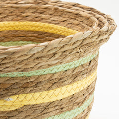 Seagrass & Straw Vase Shaped Baskets - Natural Yellow & Green - Set of 3 product image 8