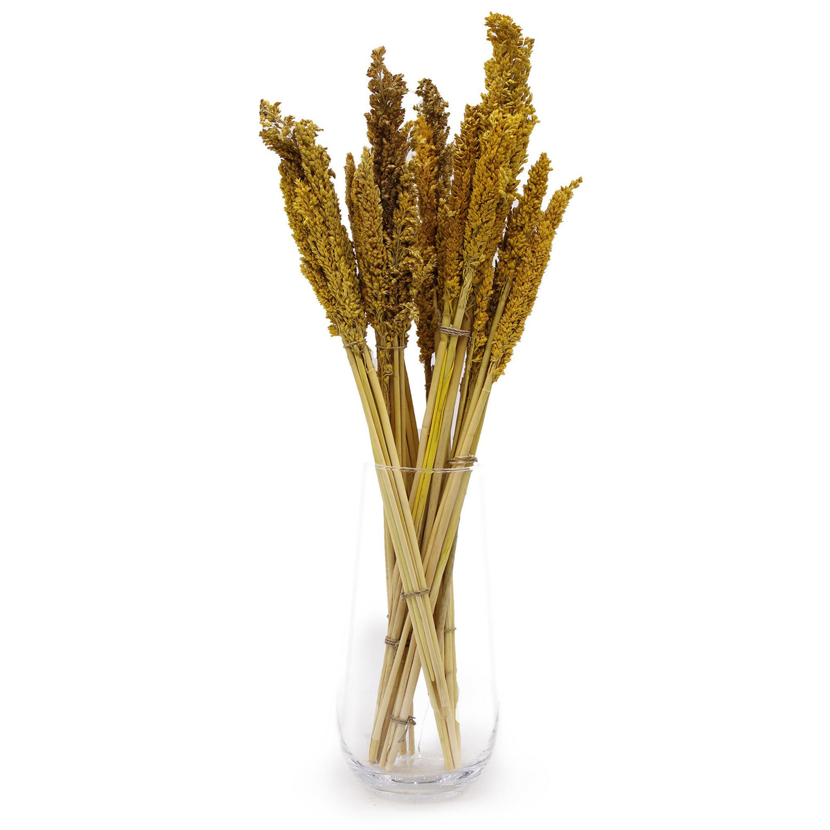 Cantal Grass Bunch - Amber product image 2