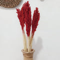 Cantal Grass Bunch - Fire product image