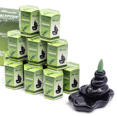 Pack of 10 Masala Backflow Incense - Eucalyptus product image
