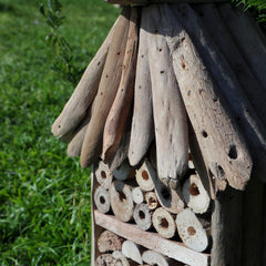 Driftwood Bee & Insect Highrise Box product image 4