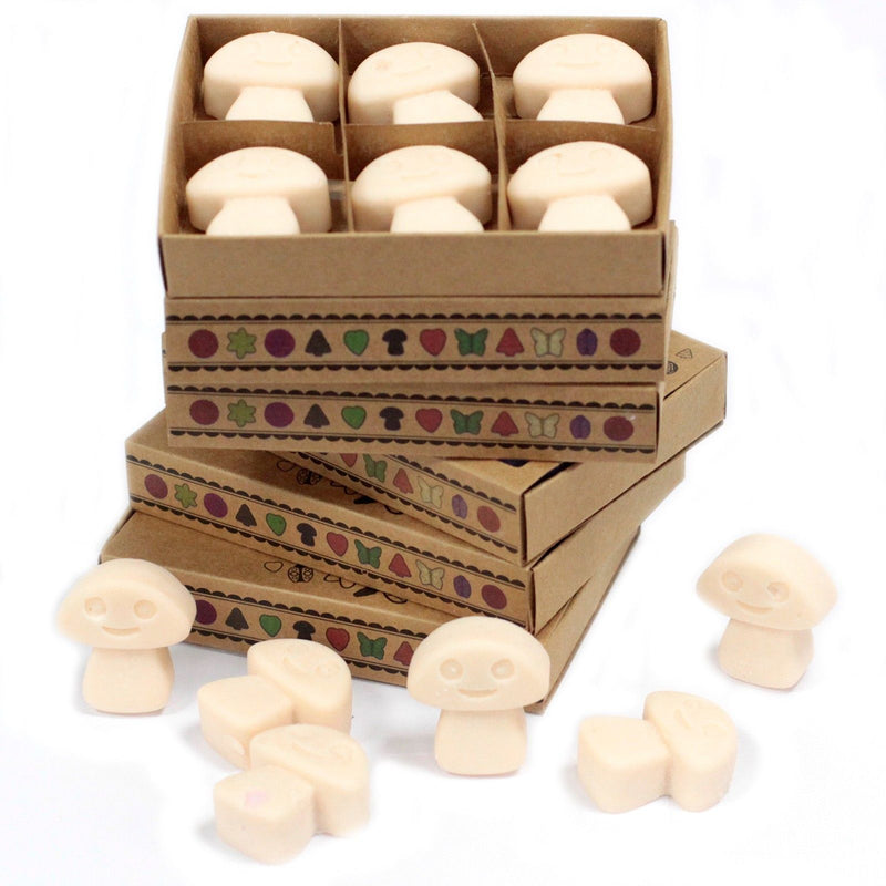 Box of 6 Wax Melts - Vanilla Nutmeg product image