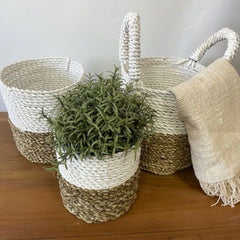 Seagrass Basket Set - Natural White product image 2