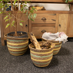 Seagrass & Straw Vase Shaped Baskets - Natural Yellow & Green - Set of 3 product image 5