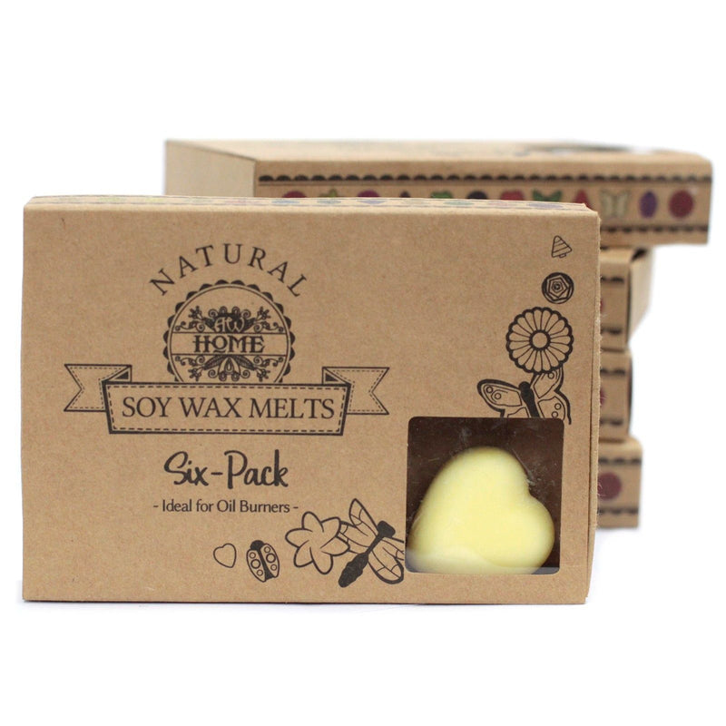 Box of 6 Wax Melts - Brandy Butter product image