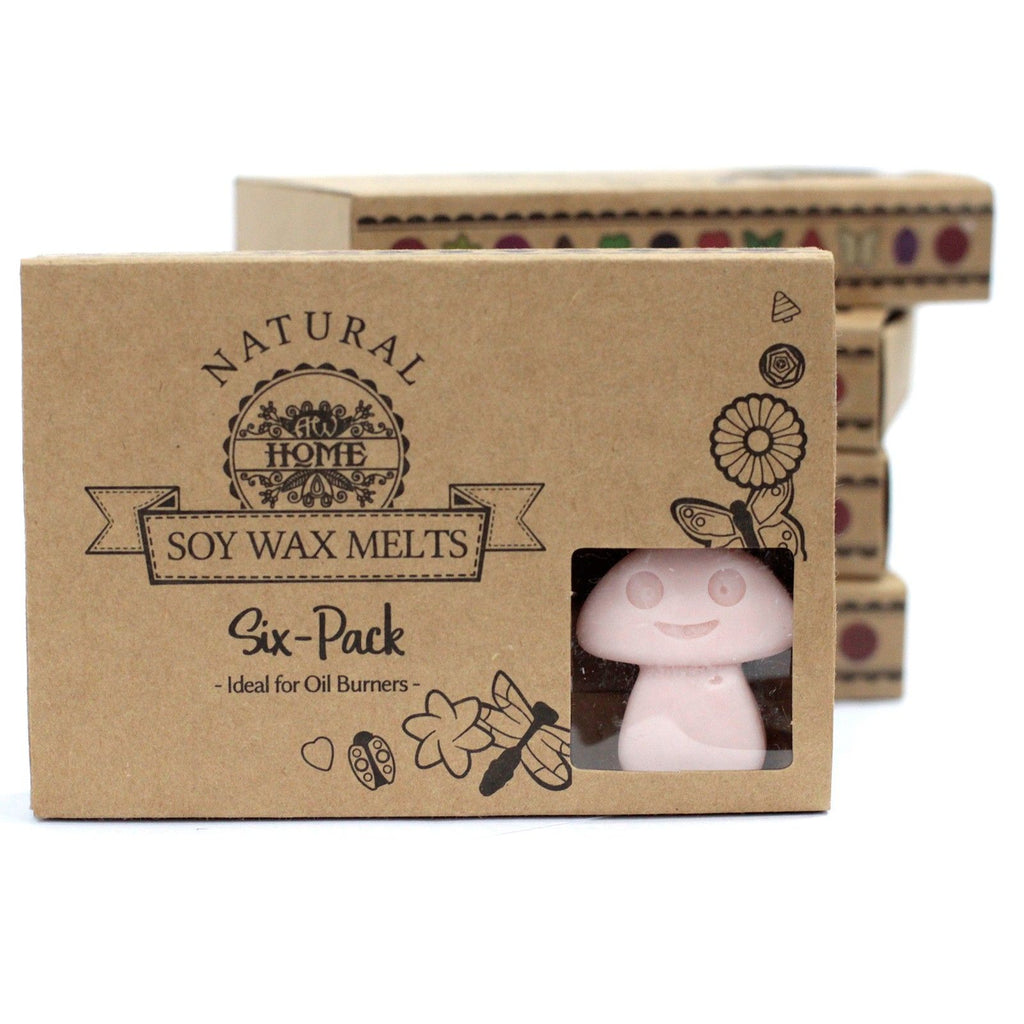 Box of 6 Wax Melts - Dark Sandalwood product image 3