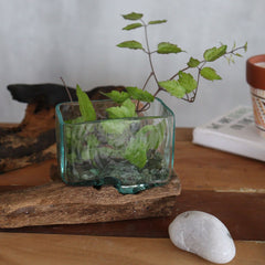Molten Glass Tank on Wood with Stand - Medium Bowl product image 2
