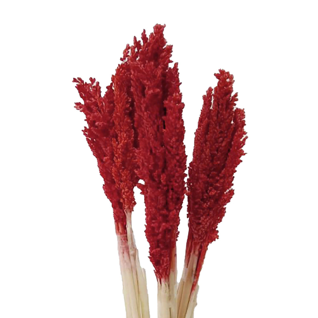 Cantal Grass Bunch - Fire product image 2
