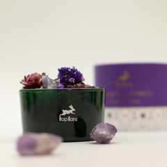 Hop Hare Diffusing Crystals & Floral Set - The Moon product image 2